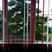 Maior Coravu, Vatra Luminoasa, Parcul National, metrou Muncii